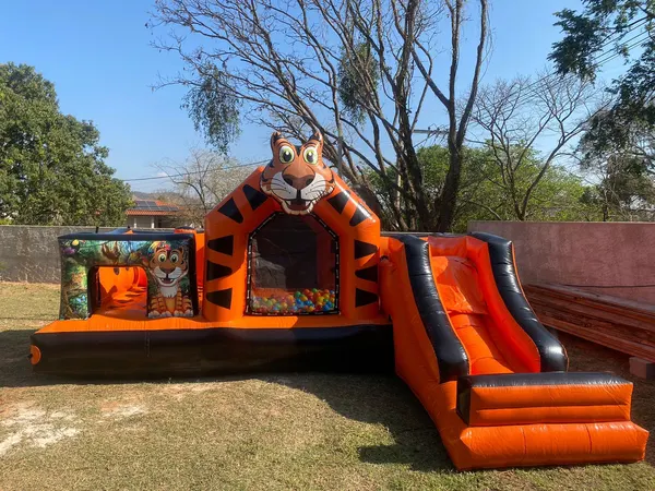 Foto do brinquedo Multi Play Tigrão