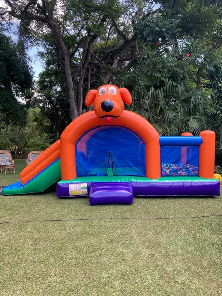 Foto do brinquedo Multi Play Totó