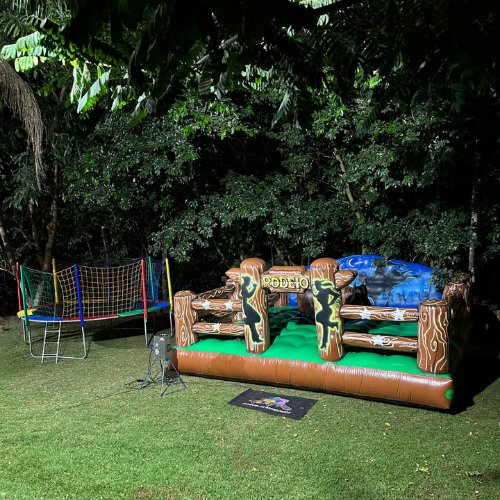 Festa Top (2)
