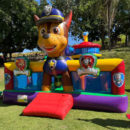 Festa Top (25)