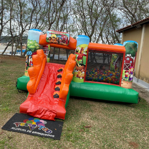 Festa Top (30)