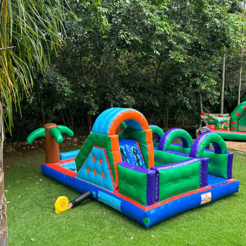 Festa Top (44)