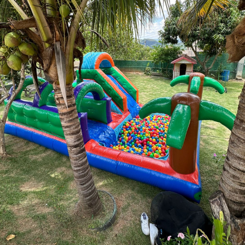 Festa Top (47)
